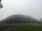 Arriving at Borobudur in the mist