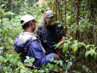 Working with a local technician in the Malagasy rainforest