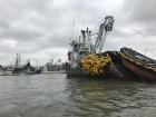 A fisherman in Las Guayas collecting food that will go to the tables of my friends and family 