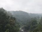 Ranomafana National Park