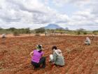 Hard at work in the field