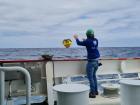 A Spotter buoy, ready to start collecting data (Photo: Mardene de Villiers)