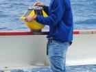 Preparing to launch a Spotter buoy (Photo: Mardene de Villiers)