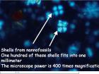 Nannofossils at 400 times magnification