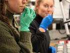 Ally (left) takes a taste of a sediment layer to figure out what types of rocks are in the layer; She’s working with Acacia (right) at the core description table