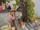 Cat spotting in Lindos