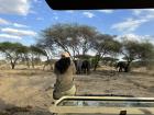 This is the best seat in the safari vehicle