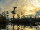 Environment means all the living and nonliving things that make up a place