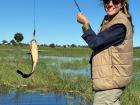 The catch of the day, released just after this photo was taken
