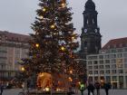The Christmas tree and nativity scene at the Striezel Christmas market