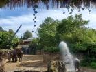 A lot of people were watching the elephants play in the water at the zoo