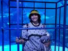 There are many photo opportunities at the COEX Aquarium