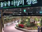 A solar garden inside the underground subway stop bringing in some nature to an otherwise cold place