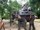 Elephant ride in Kerala! 