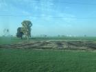 In Punjab, fields are often burned after crops are harvested