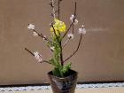 Flower arrangement at tea ceremony