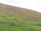 A lovely example of the beautiful green landscape Ireland is known for