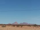 Short trees in the Namib Desert with Spitzkoppe Mountain