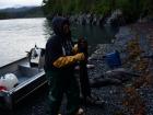 It's common to travel by boat along the Arctic's expansive coastline