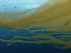 Filaments of algae blooming and living together under the sea ice (Photo: Oliver Müller)