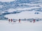 People walking on the path around the MOSAiC ice floe (Photo: LIanna Nixon)