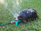 The turtle loved the sprinkler