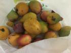 One of the common foods in Paraguay are also Mangos! This is a bag of mangos that I collected