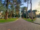 A picture of campus