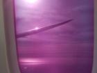 I woke up to witness the never ending sea in purple lighting! 
