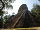 This is one of the pyramids in the regional park of Tikal, Guatemala