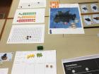 Board game created by a senior for his thesis in Environmental Studies