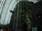 A waterfall in Gardens By the Bay, indoor gardens that showcase Singapore's biodiversity and particularly its flora diversity