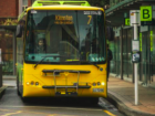 Wellington bus at stop (Google Images)