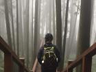 One of my favorite places in Taiwan: Alishan 