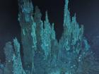 Hydrothermal vents are harsh environments under extreme pressure where ecosystems live in and around hot mineral-laden water that comes out of the seafloor