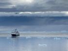 The Ocean Endeavor navigating light sea ice