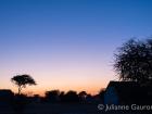 The sunrise in Africa is so beautiful
