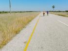 A hot day in the Kalahari