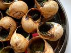 Escargot (snails) may sound like a strange dish, but they are commonly found in most restaurants in Paris. They are cooked with some type of sauce like pesto and are surprisingly delicious!