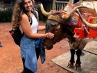 Making friends with the bohemian cows at La Paz Waterfall Gardens