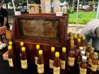 I went to a bee fair in San Ramon, Costa Rica to shop around for all things bee