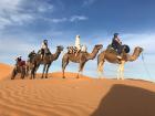 While visiting the Sahara, we rode on camels through the desert to get to our campsite.