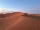 Another incredible picture of the Sahara desert; the sand looks so soft!