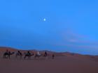 After watching the sunset, we rode to our campsite in the Sahara Desert as the stars started to pop out