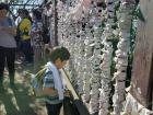 A young Japanese boy looking at good "omikuji" (paper fortunes) wrapped around an old iron fence on Mt. Tsukuba, Ibaraki