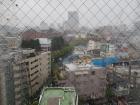 View of rain from Typhoon Hagibis collecting on my dorm hallway window