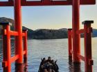 Me (top left) posing with friends from Belgium, Netherlands, England and Australia by Hakone Torii, Lake Ashi
