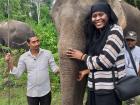 Malay is an elephant who lives in an elephant sanctuary not too far from the village of Bahraich