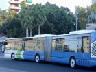 Check out how long the buses are in Palma!