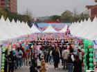 An entrance view of the Multicultural Festival at Sichuan Minzu University